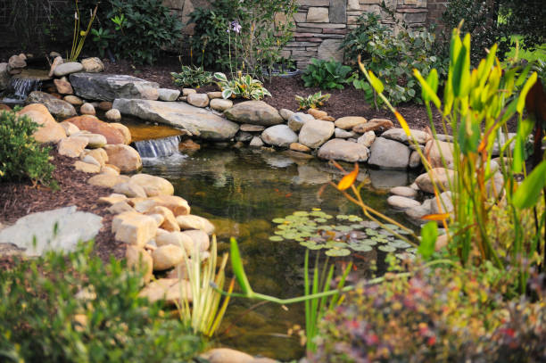 Fishponds